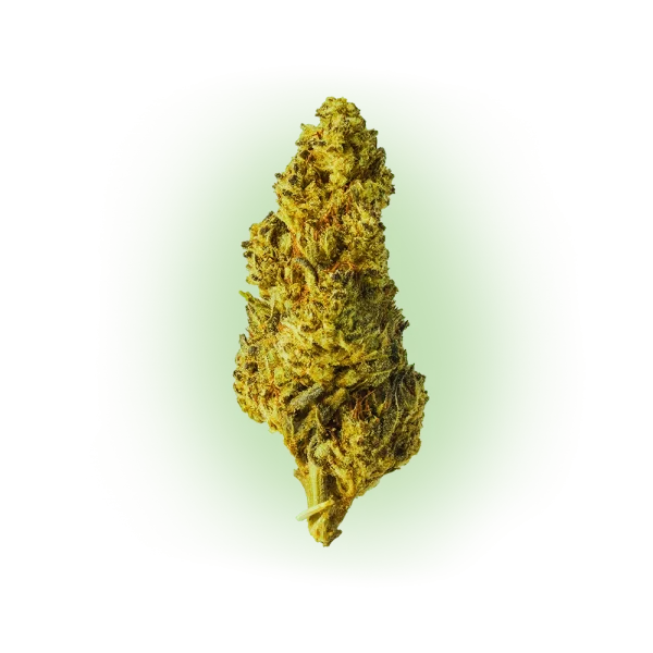 Our HHC hemp is grown in the best conditions, which gives it an incredible flavour, aroma and appearance. If you’re a fan of quality flowers, this is a great option.